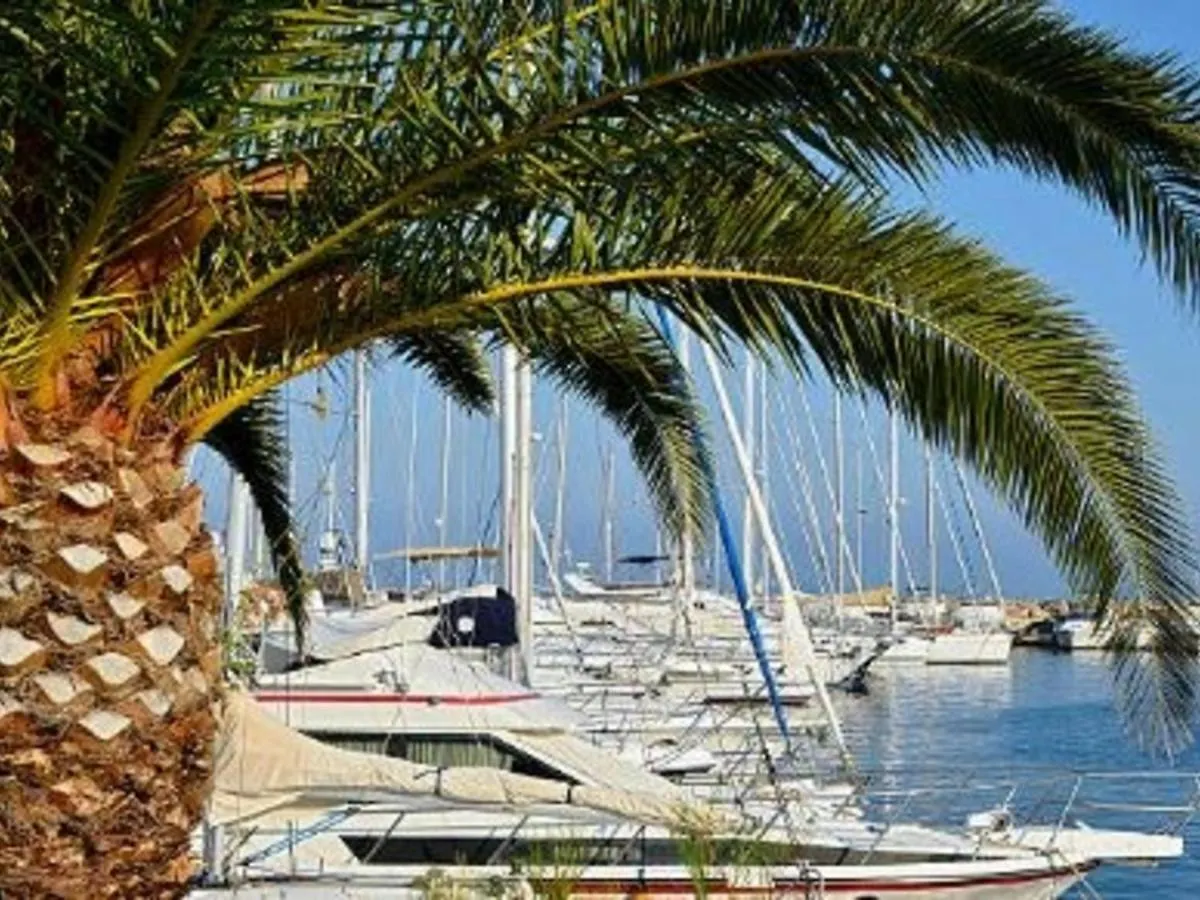 Studio Climatise Au Lavandou Avec Terrasse, Parking Et Environnement Calme - 3 Couchages - Fr-1-251-167 Le Lavandou Apartamento